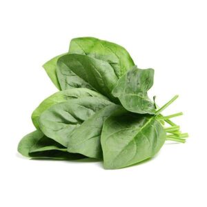 Espinaca hoja